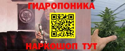Альфа ПВП Лесосибирск